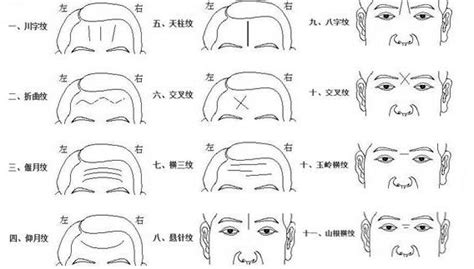 額頭橫紋面相